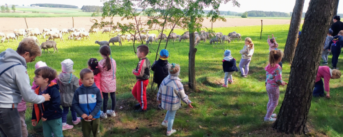 Wycieczka do Zagrody Białego Króliczka w Kęszycach